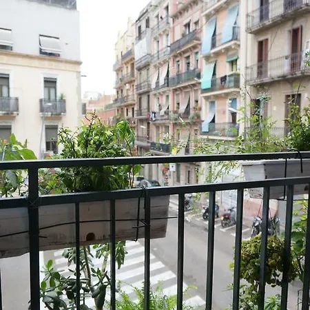 Camino * Barcelona