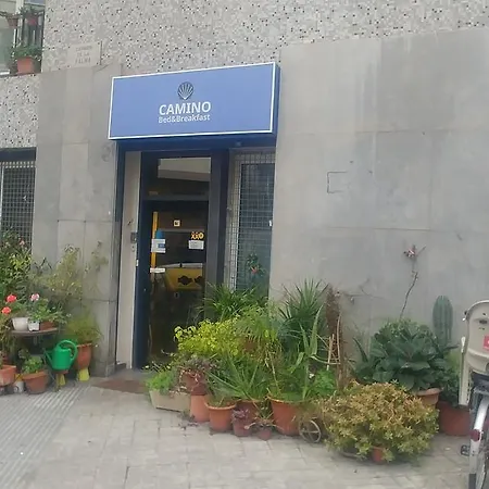 Хостел Camino